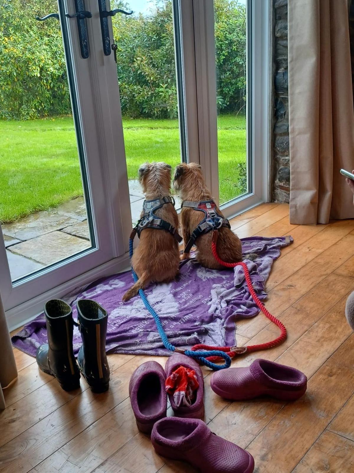 Pippin Lodge Llanwrda エクステリア 写真