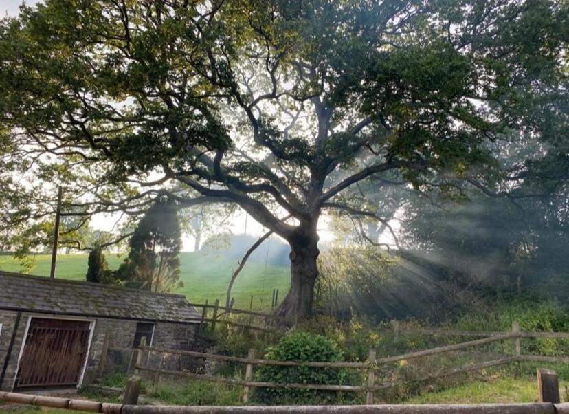 Pippin Lodge Llanwrda エクステリア 写真
