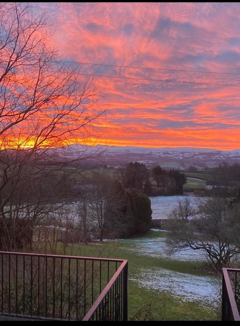 Pippin Lodge Llanwrda エクステリア 写真