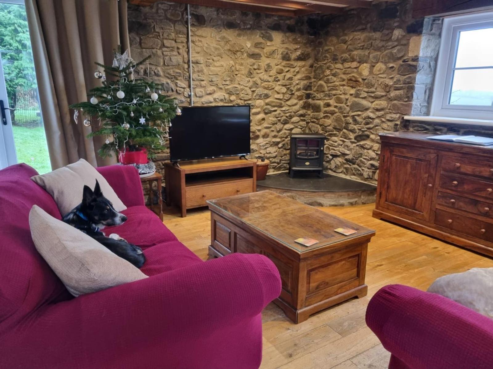 Pippin Lodge Llanwrda エクステリア 写真